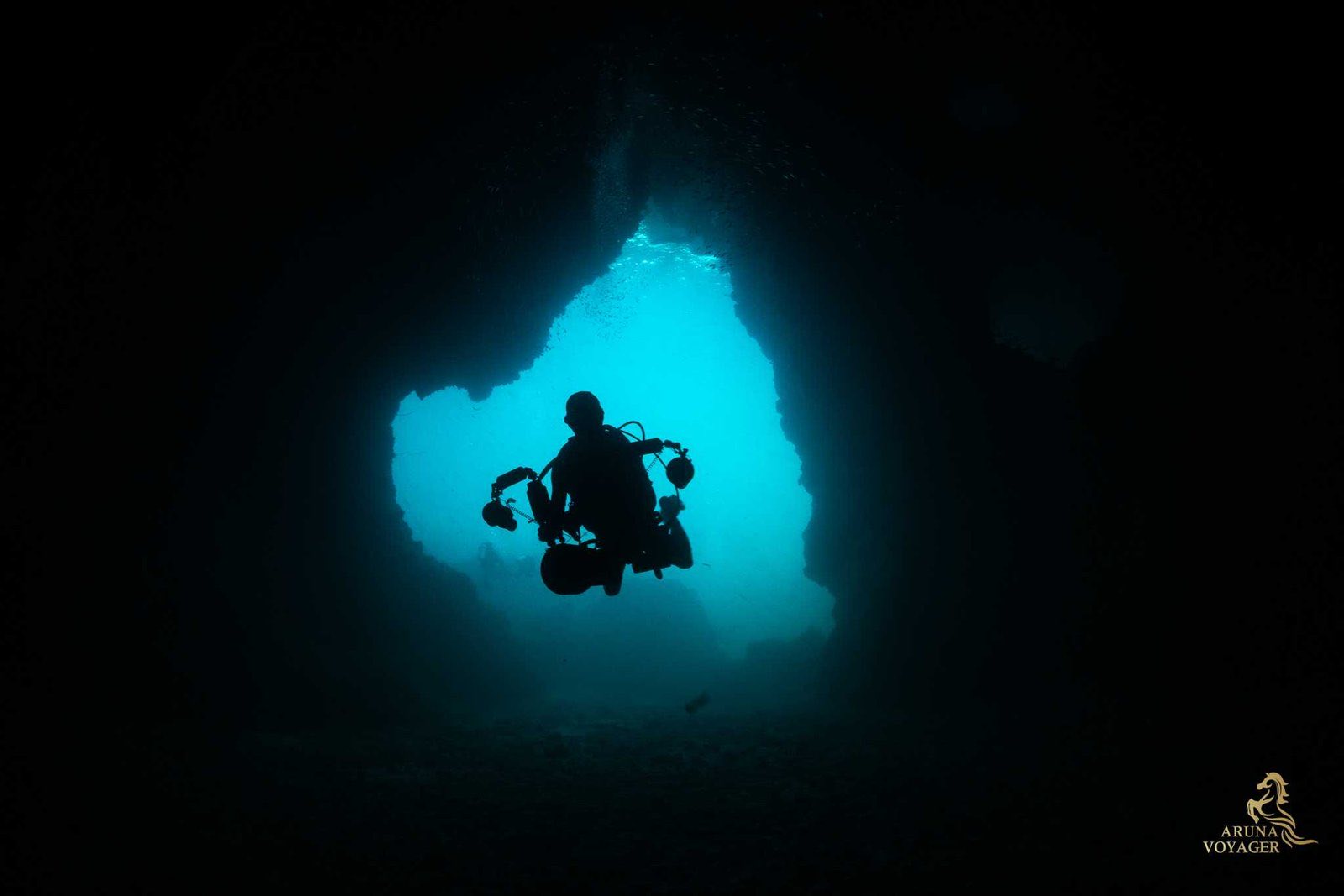 Aruna Odyssey — 4