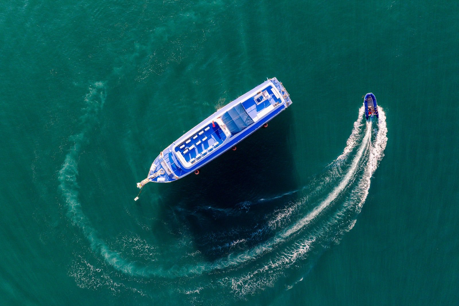 Manta Queen 1 — 2