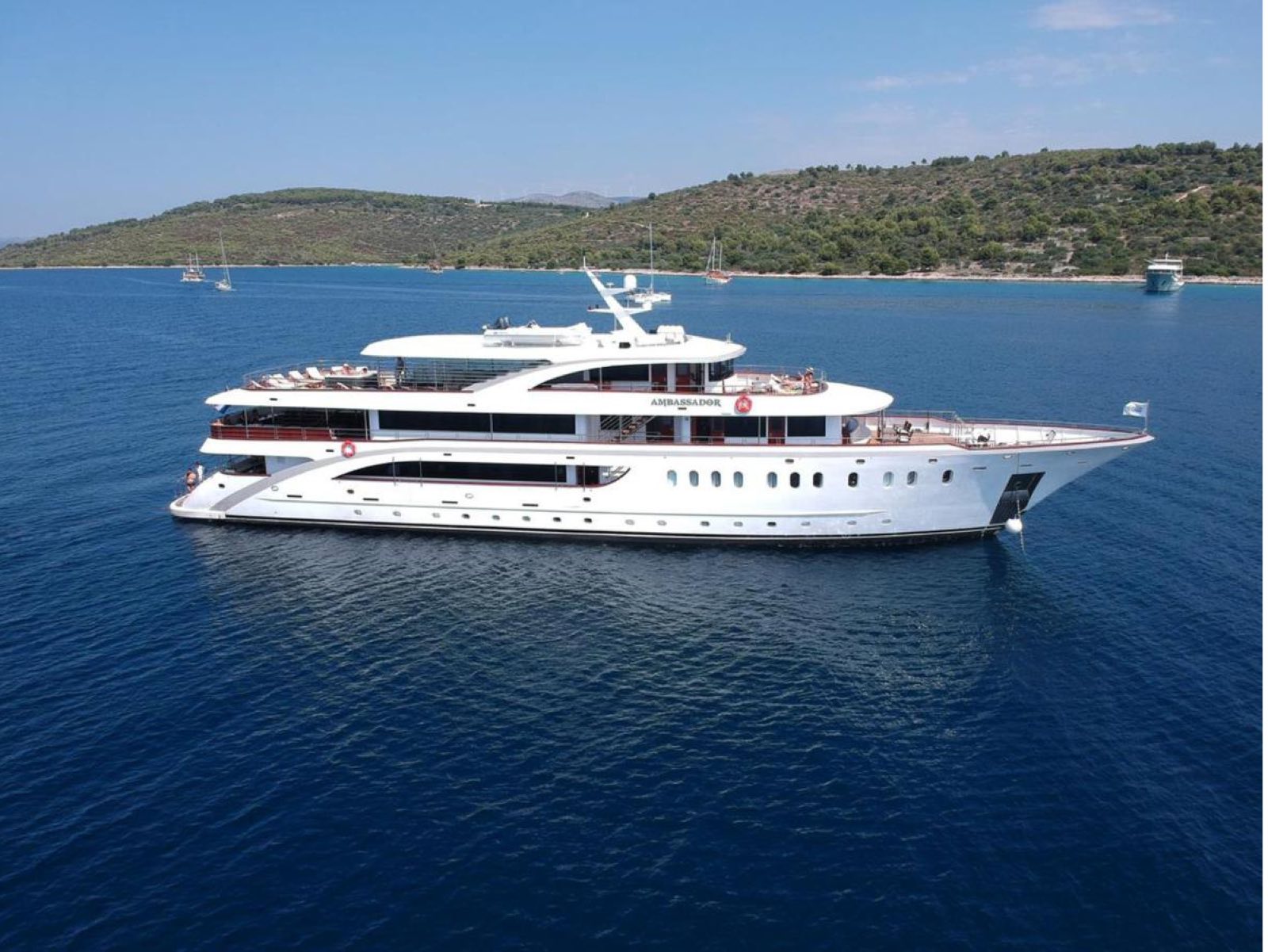 MS Ambassador